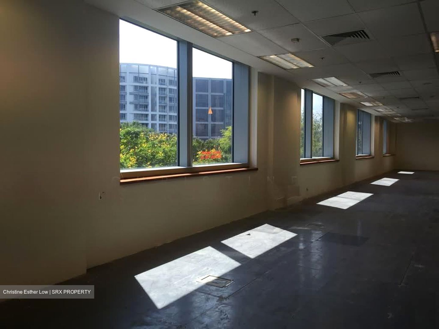 The Luxe (D9), Office #570035411